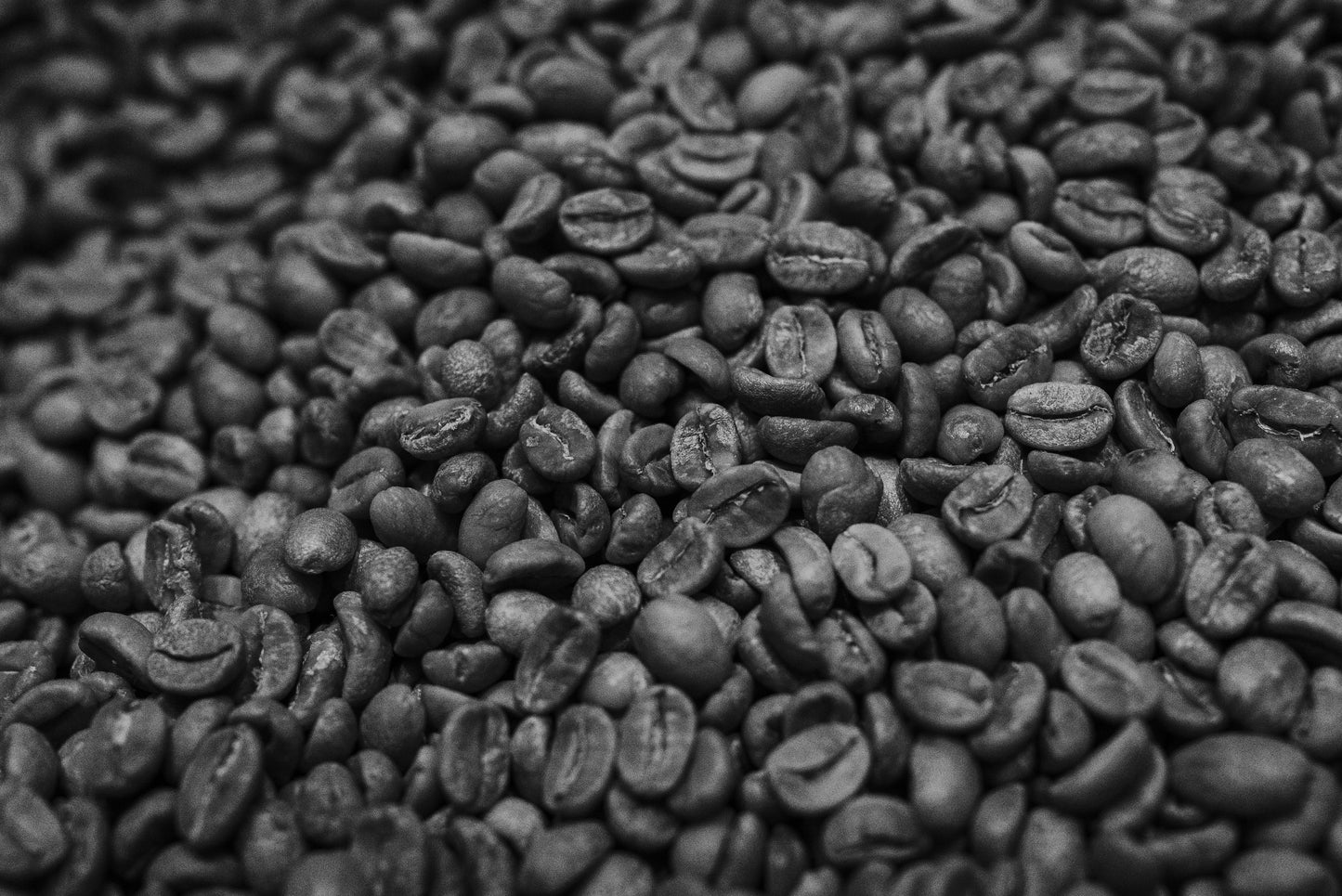 Sebo's Blend Coffee - Whole Bean